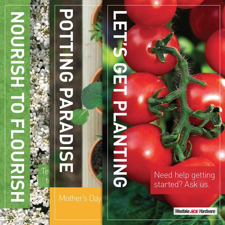 Westlake Ace Hardware