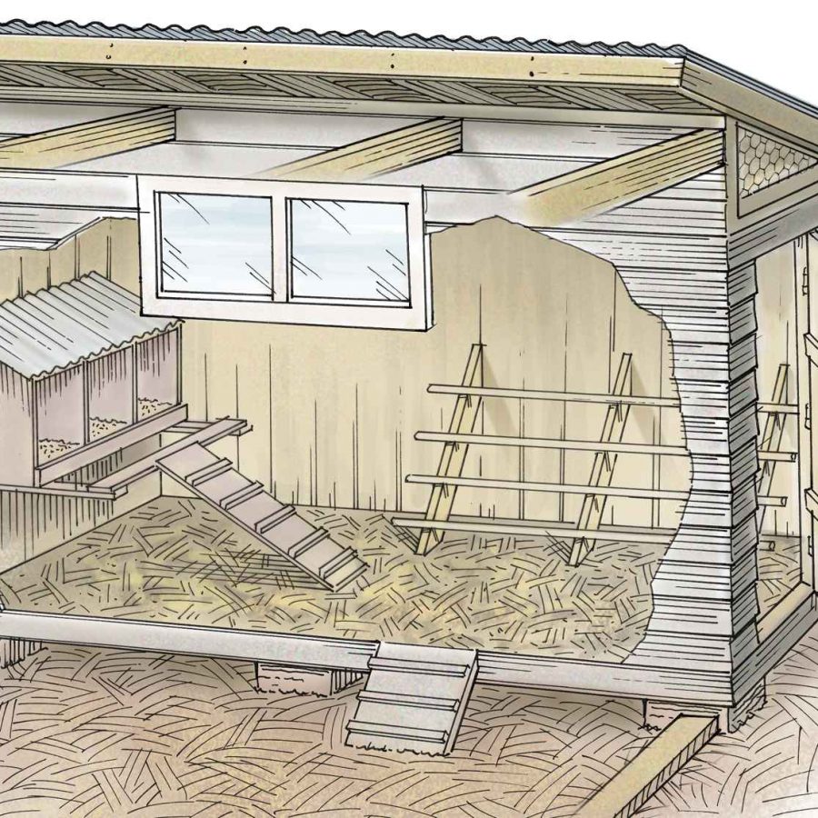 TSC Chicken Coop Illustration for Out Here Magazine